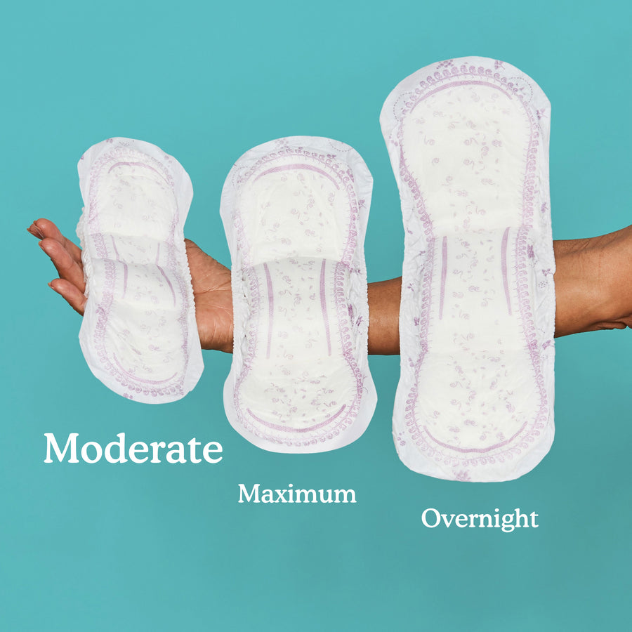 Arm holding moderate, maximum, and overnight pads side by side for comparison. Moderate is the shortest and smallest.